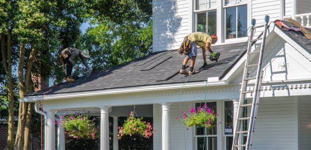 Best Metal Roofing Contractor  in Ravensworth, VA